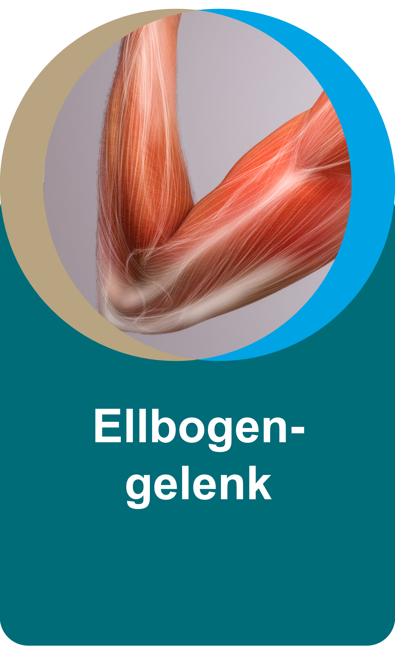 Slice1-Ellenbogen3x.png